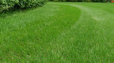 Sistem irigare gazon subteran