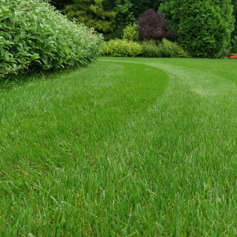 Sistem irigare gazon subteran