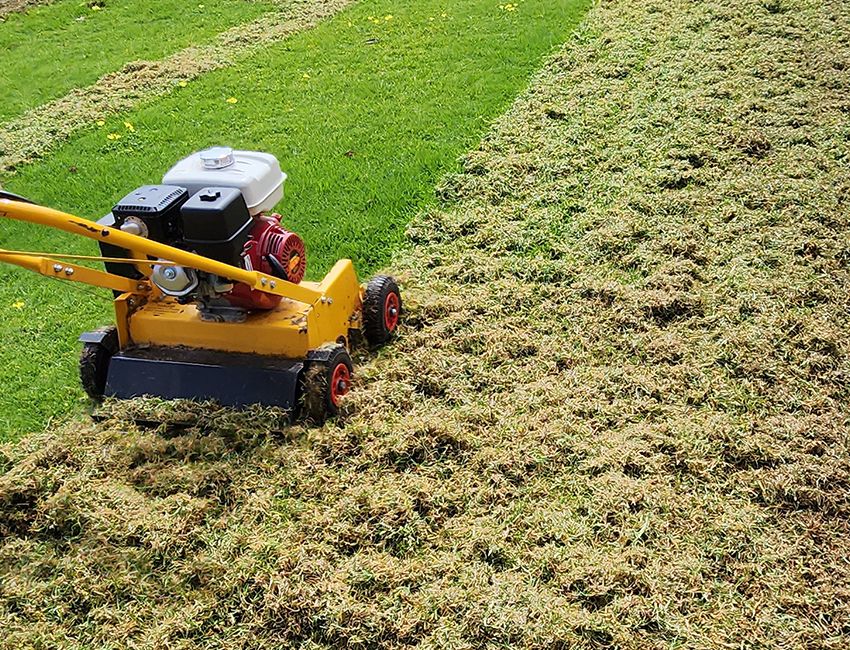 Scarificare Irigarden